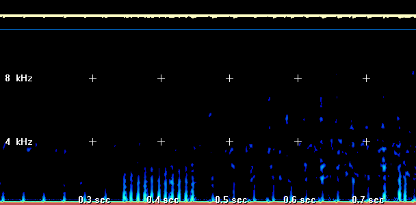Spectrum Plot